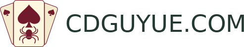 CDGUYUE.COM